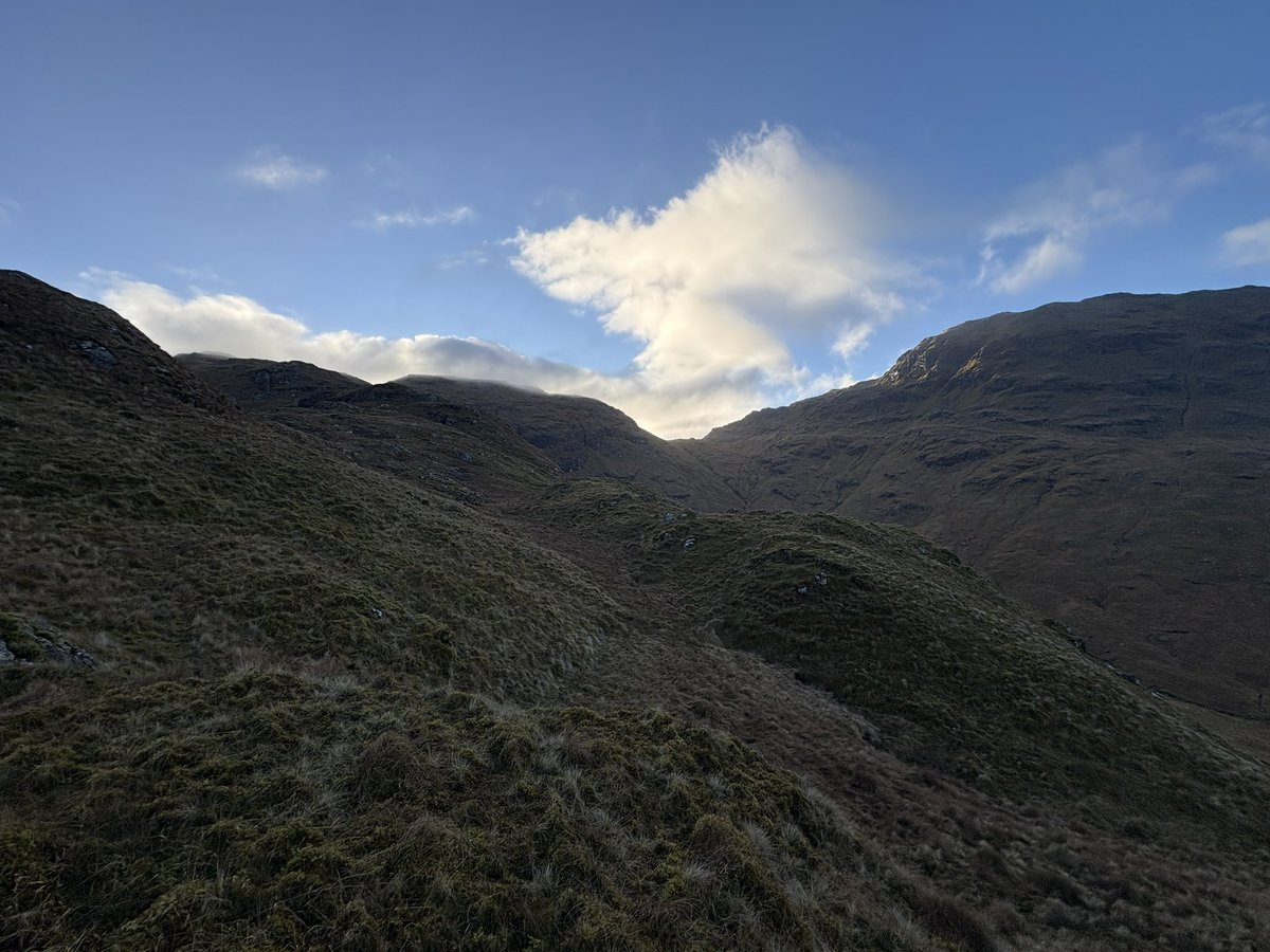 Gordon Murray tweet media