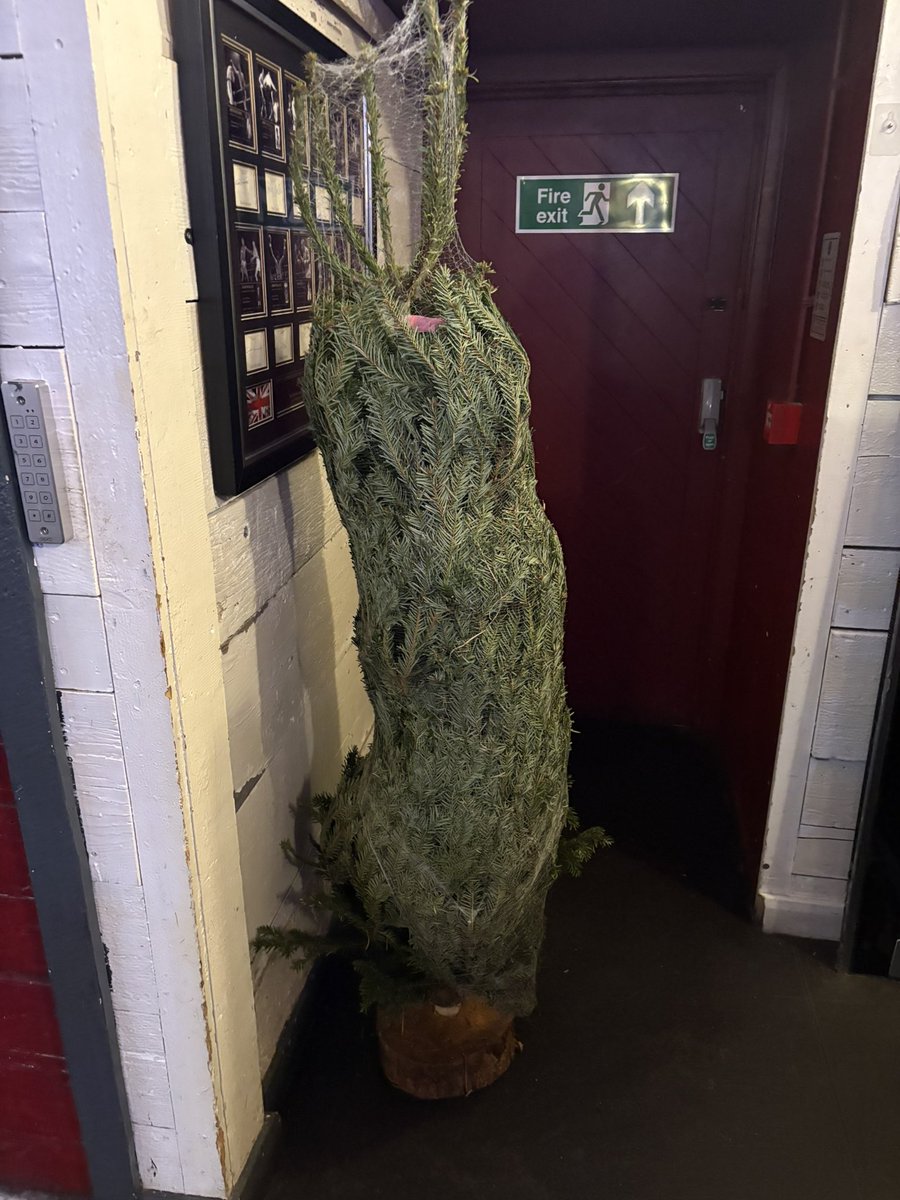 islingtonsport1's tweet image. Anyone fancy a Christmas Tree??? 🤷‍♂️🤷‍♂️🤷‍♂️ #ThePubThatKeepsGiving
