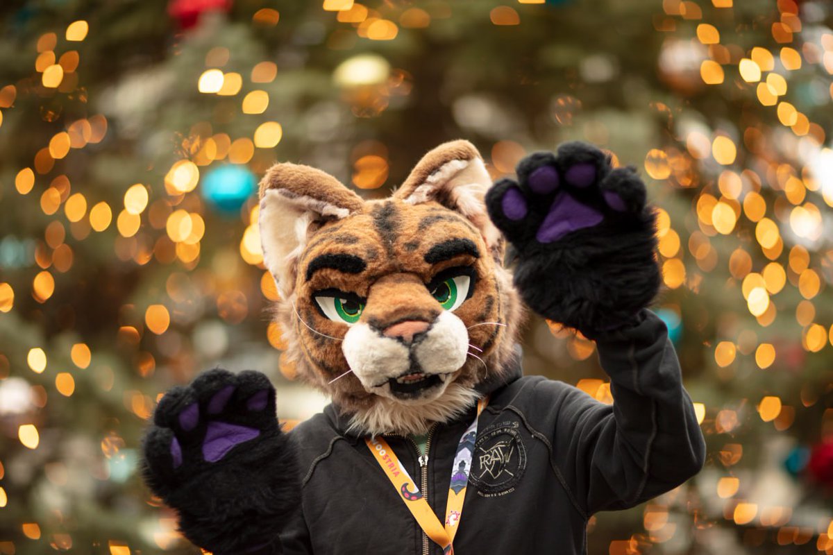 Merry Christmas everyone! 🎄

📸 Techie The Wolf
