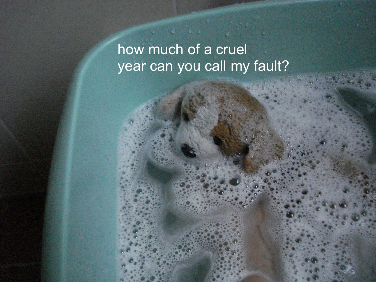 luvicle (@saiwormoon) on Twitter photo 