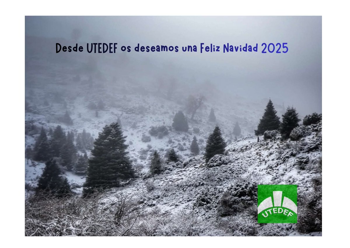 UTEDEF tweet media