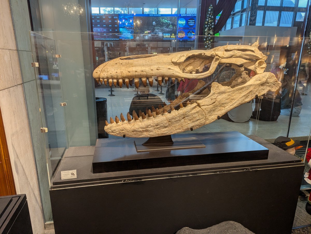 You can just buy things