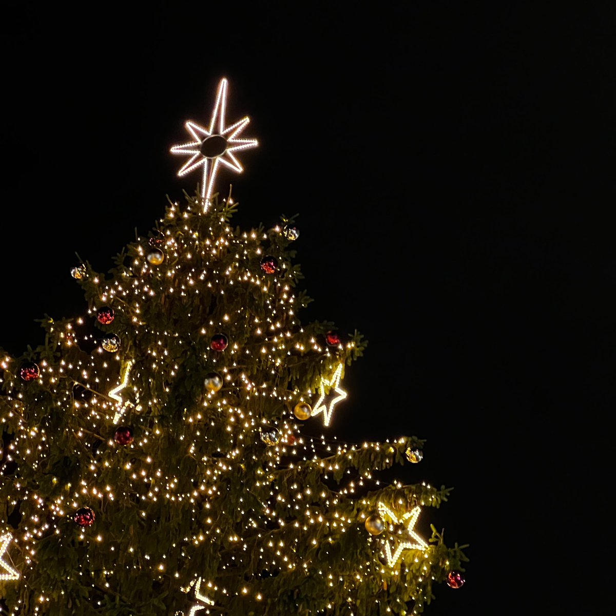 #langtwt

Merry Christmas 
Mutlu Noeller
ميلاد مجيد
Feliz Navidad
Joyeux Noël
🎄✨❤️