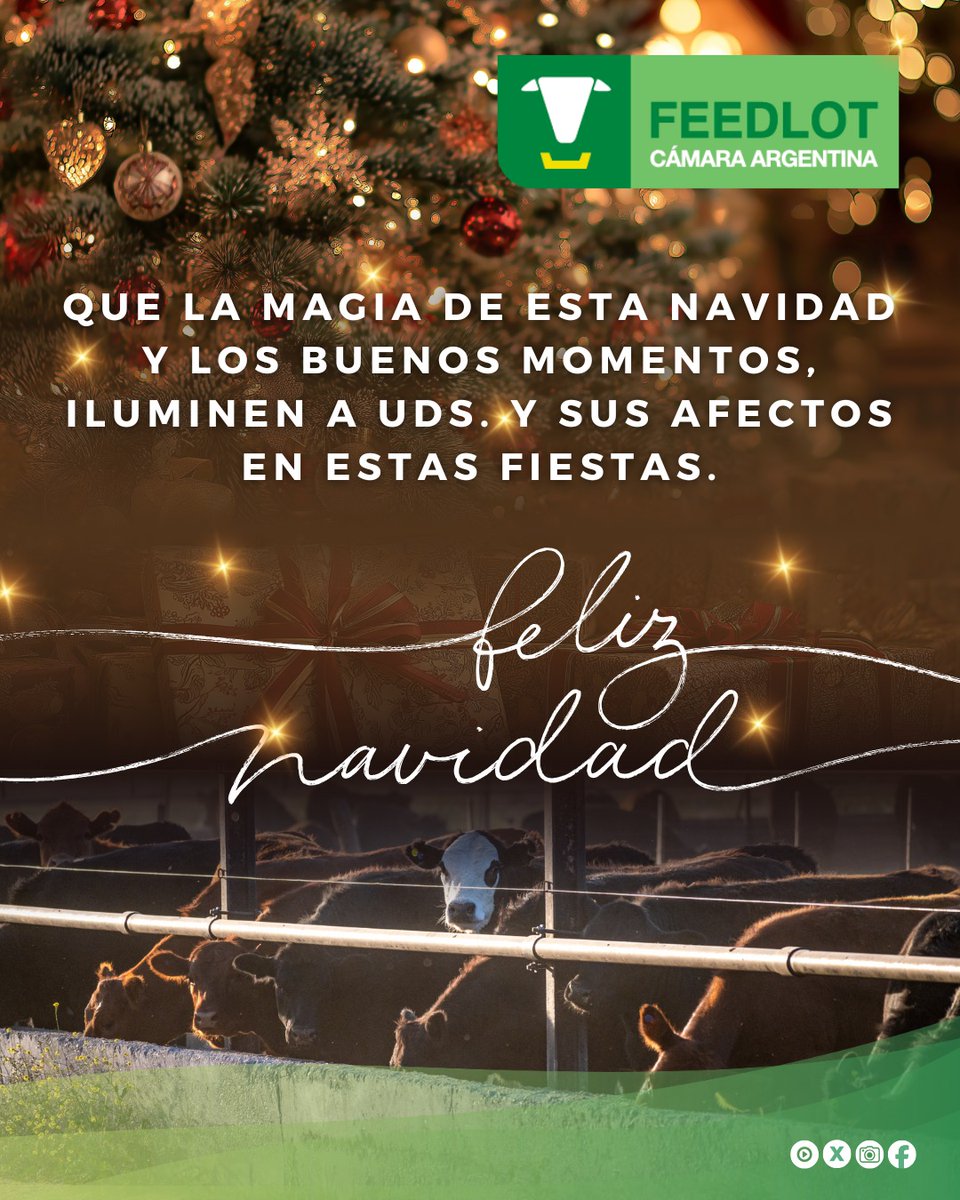 Feedlot Argentina tweet media