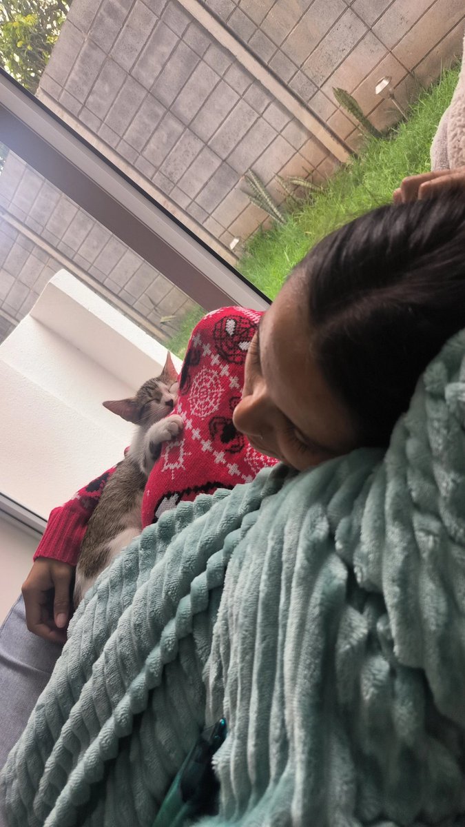 Las dos nenas de la casa durmiendo 🫶🏼