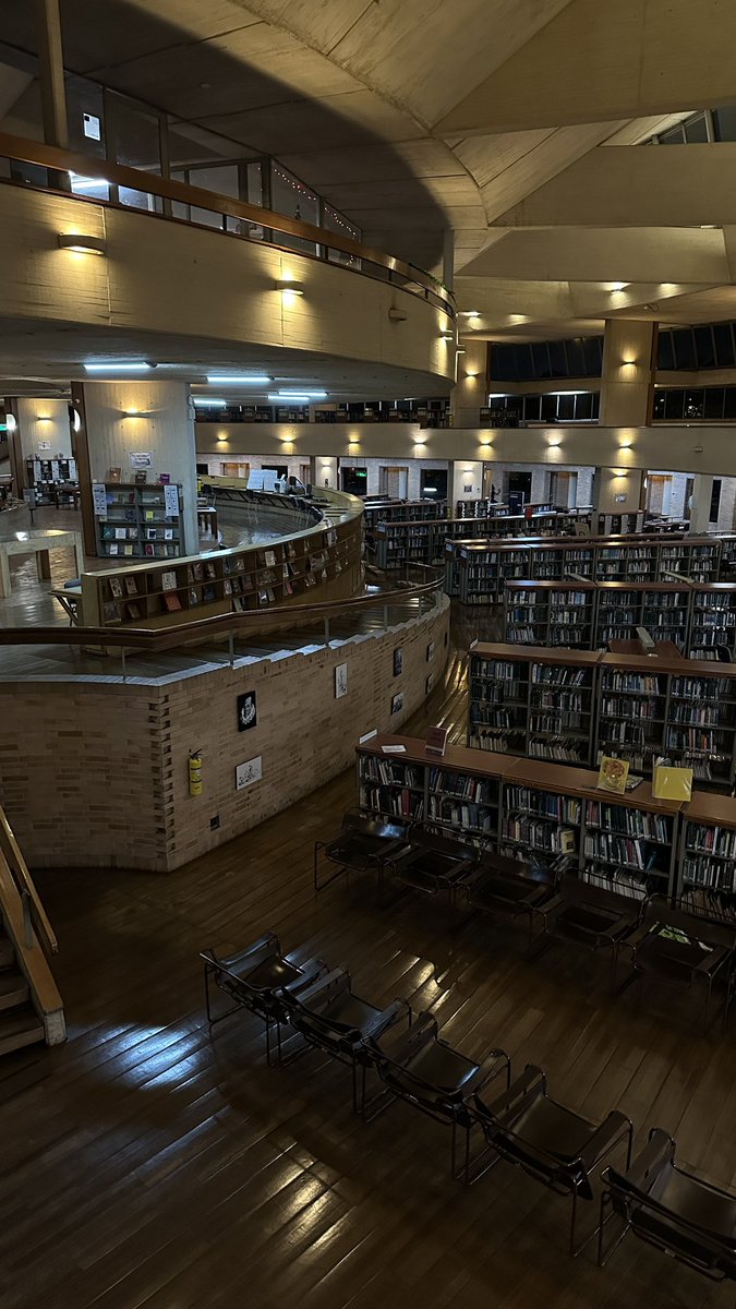 MAZZILLI tweet media