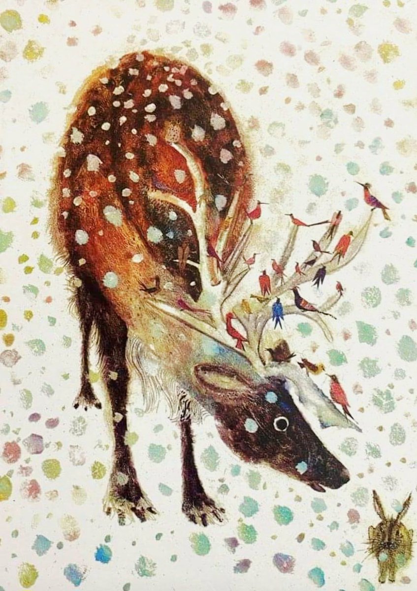 faustina gilbey tweet media