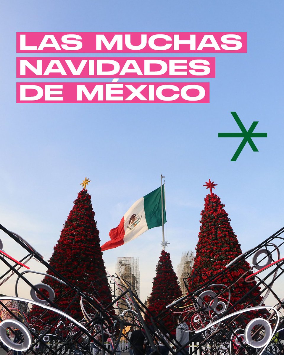 TlacuacheBlue's tweet photo. Navidades hay varias y variadas. 🎄 https://t.co/Wv5mse0AAp