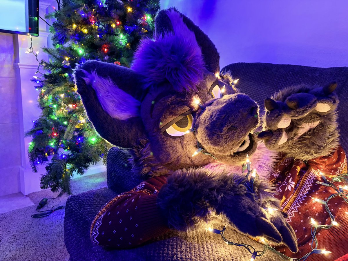 Zekey🫟🔜LVFC tweet media