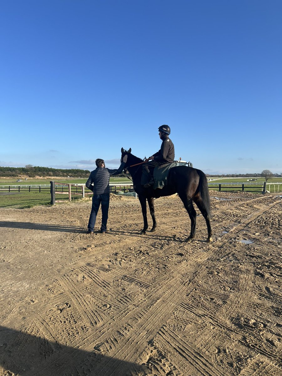 Conor O’Dwyer Racing tweet media