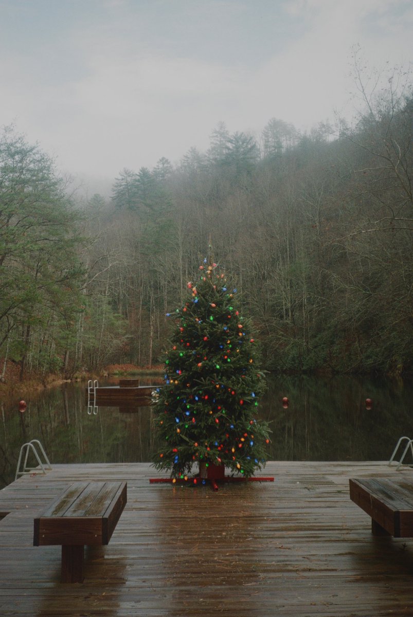 will defries tweet media