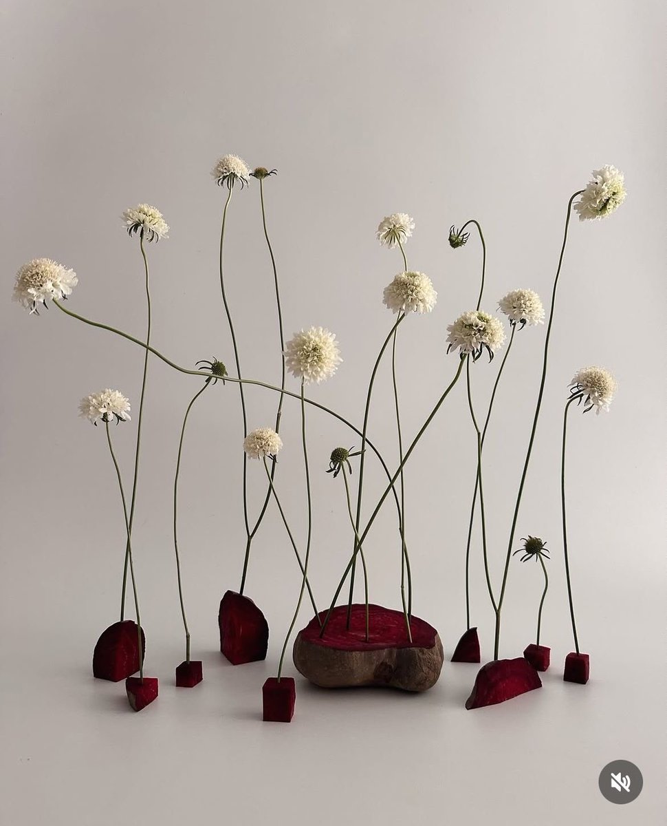 ♡₊˚ ・₊✧ 𝙠𝙖𝙧𝙚𝙚𝙣𝙞𝙣𝙖𝙗𝙡𝙪𝙪 ; 리나 tweet media