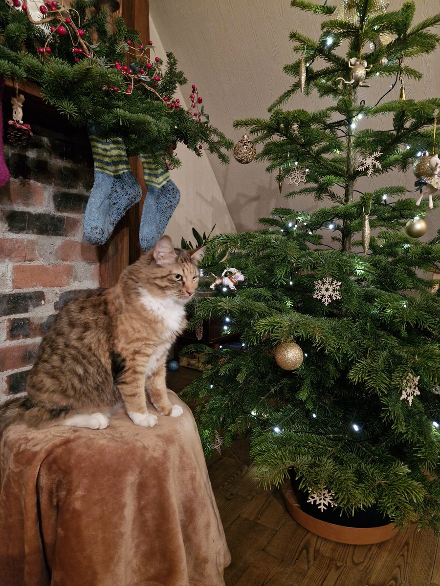 Priecīgus Ziemassvētkus ! 🎄