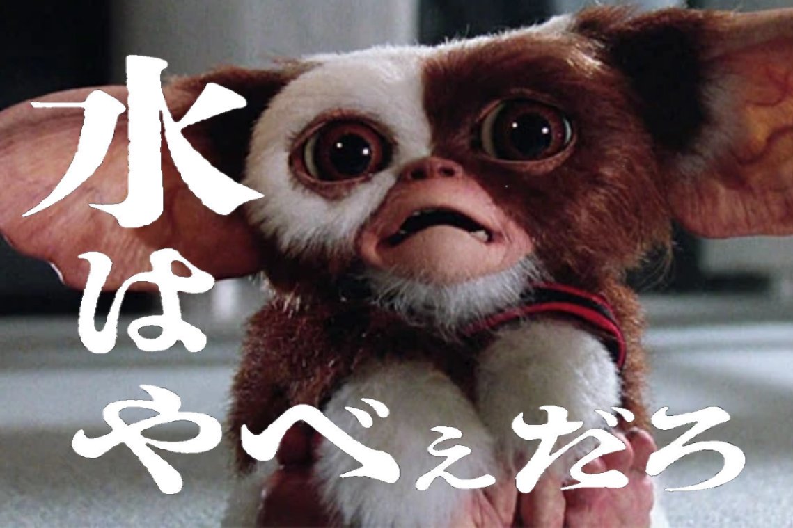 阿 紋太郎 (@kuma_montarou) / Posts / X