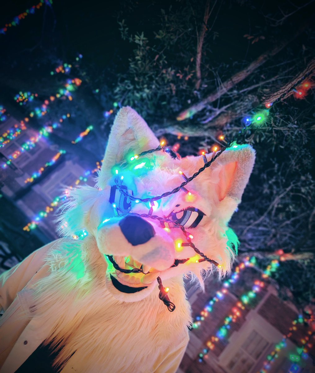 ZigTheDragon 🐲 tweet media