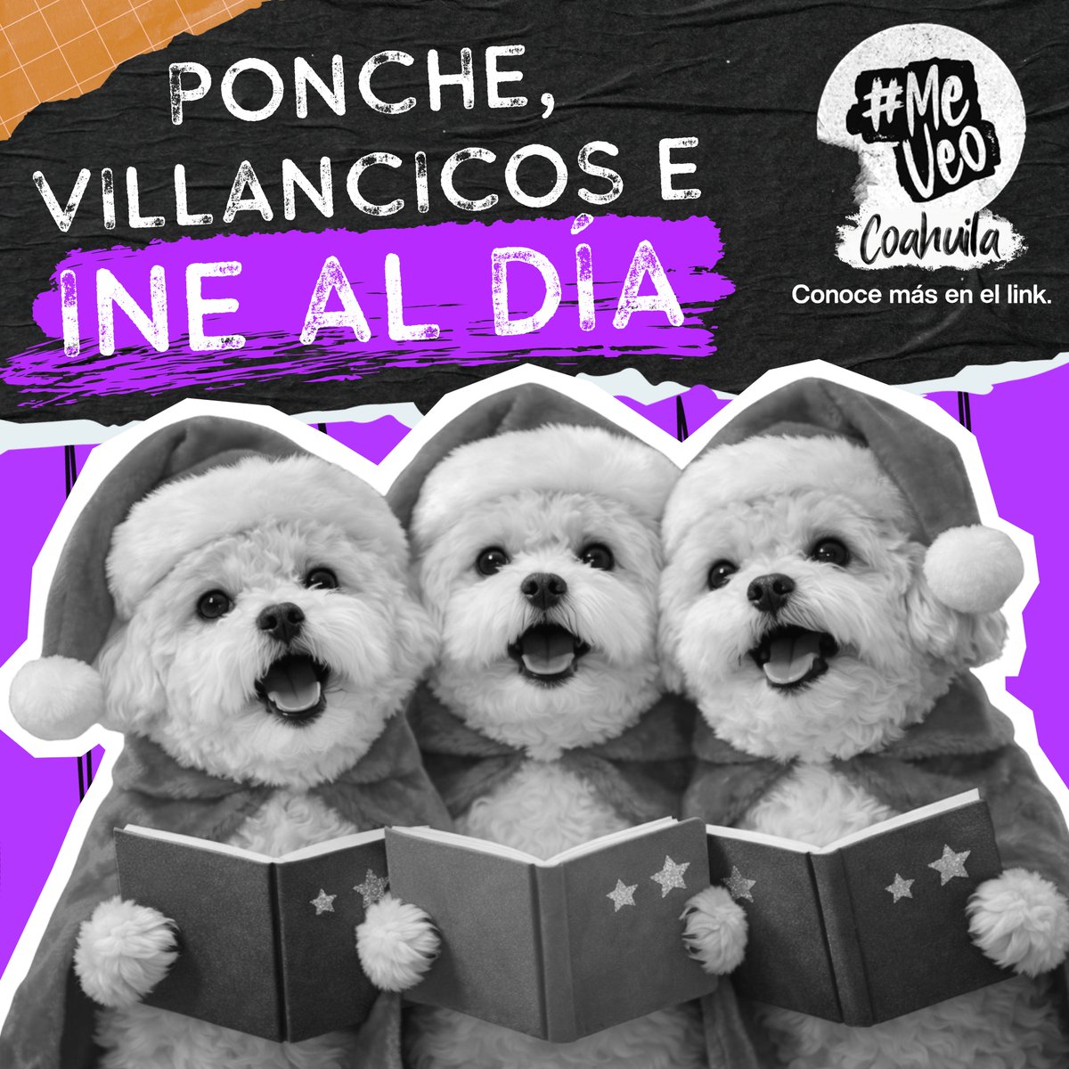 CCICOAH's tweet image. Da click en el link de abajo ⬇️ y escríbenos si tienes dudas 🎄
inetel-citas.ine.mx/ReservaCitas/

#MeVeoCoahuila #ActualizaTuINE #México #Navidad