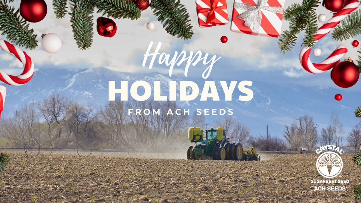 Crystal Beet Seed_ACH Seeds tweet media