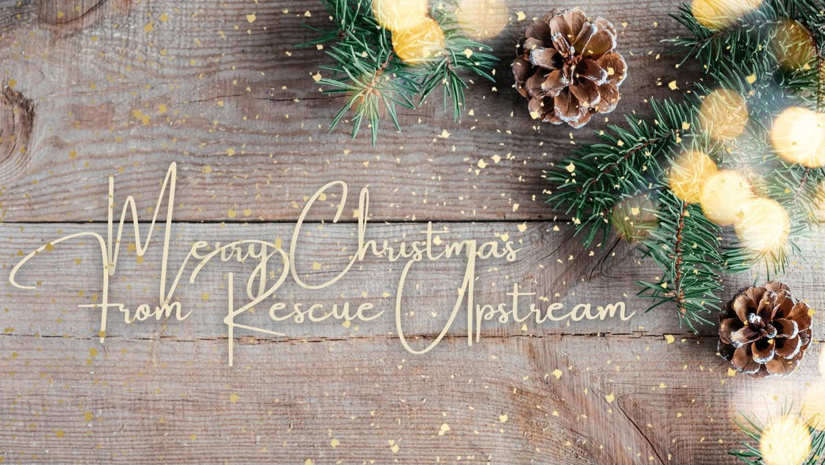 RUpstream's tweet image. From our hearts to yours, thank you for your prayers and support this past year. We could not help others bridge Hope to Freedom without you.
Praise God for His Provision, Grace and Mercy.
#Christmas