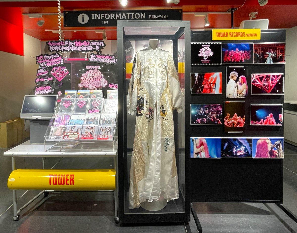 ちゃんみな さんの 代々木第一体育館公演を映像化した 「AREA OF