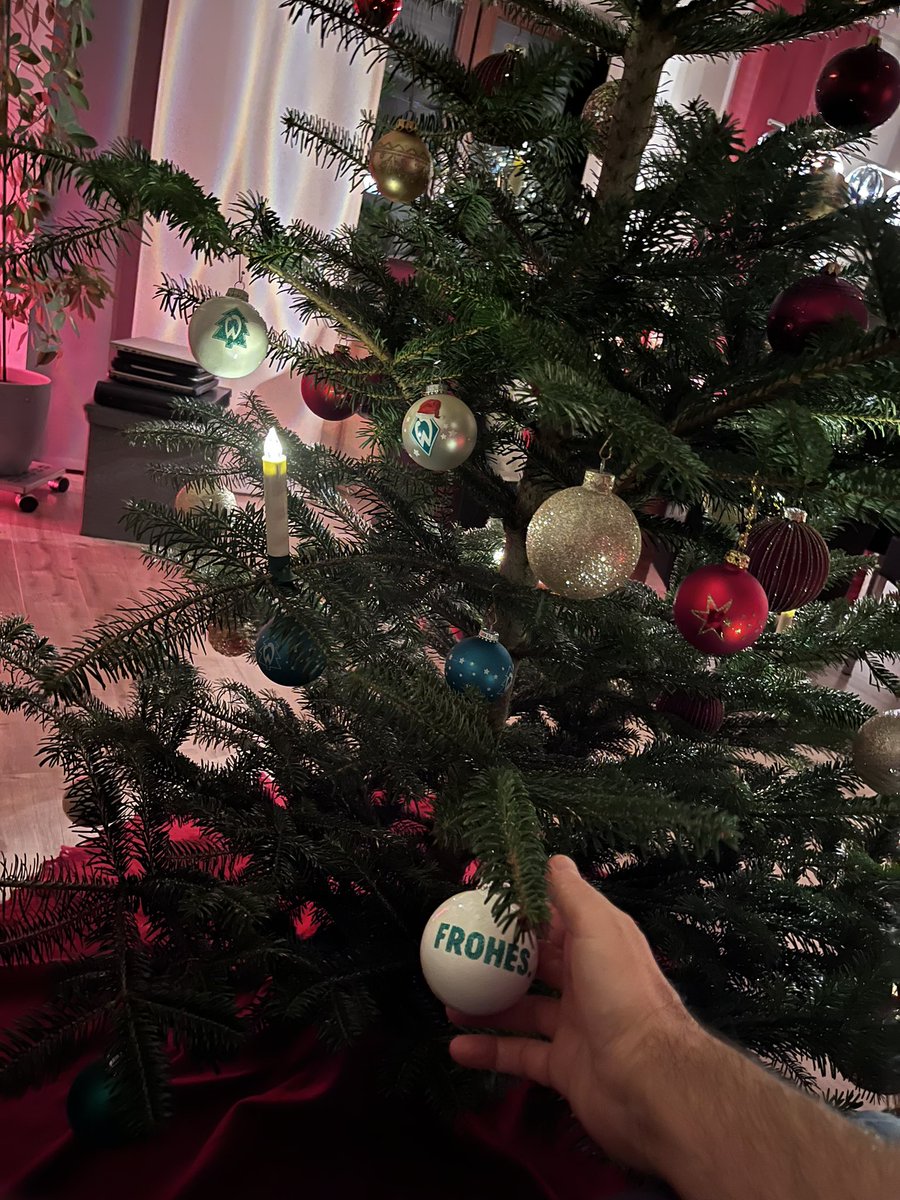 Stefan Maier tweet media