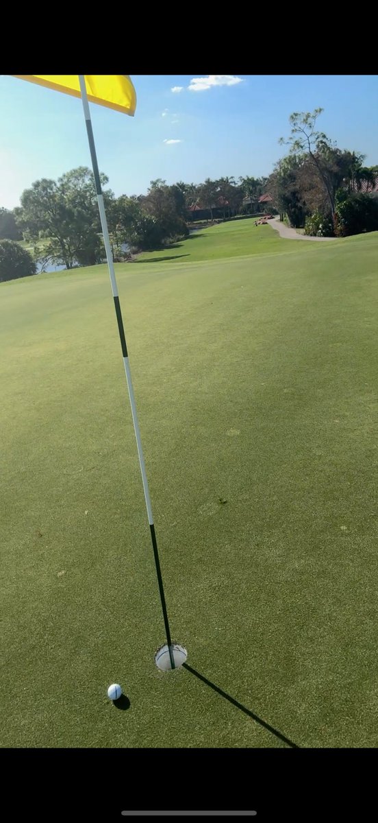 GingerJH tweet media