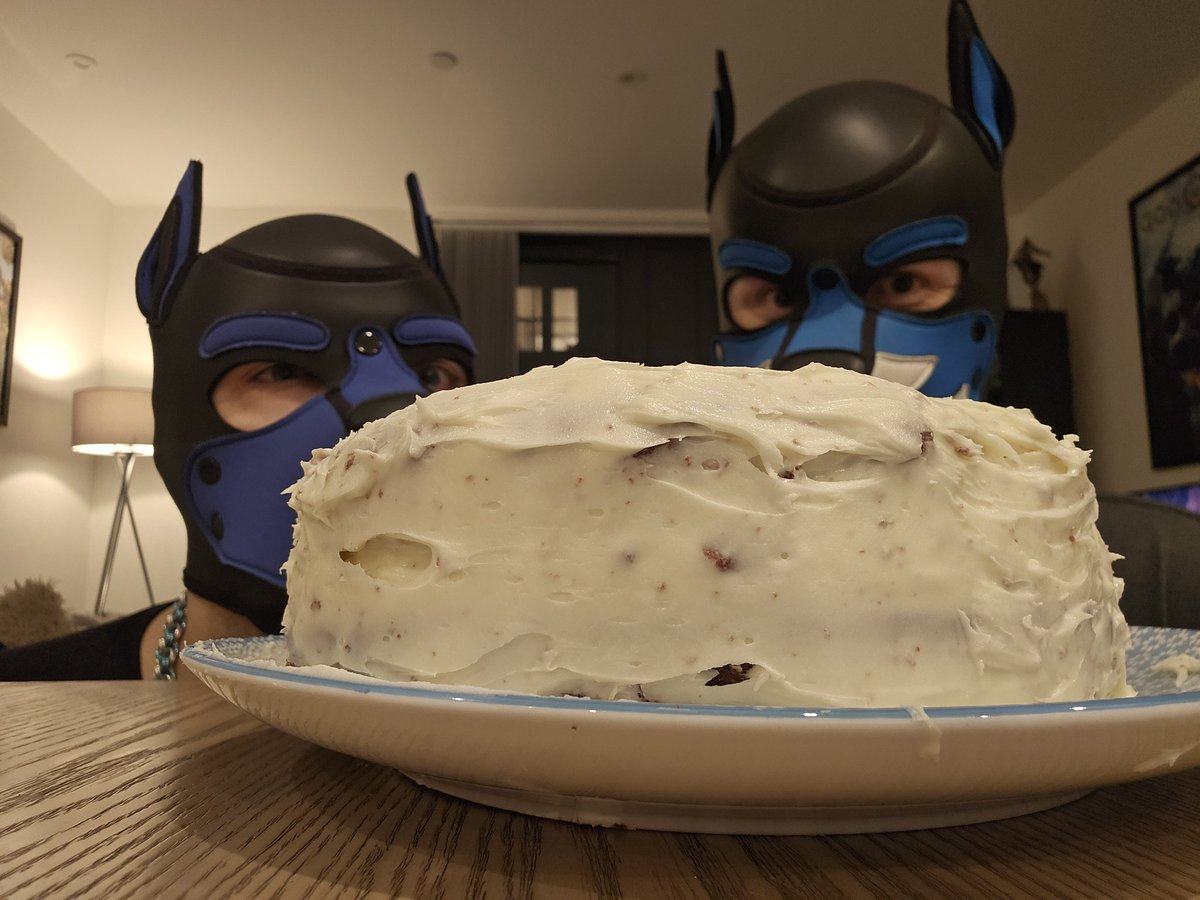 PupScotti's tweet photo. Baking time, we promise we will save some for santa paws 👉👈 🎅🎄🎁 #geekgay #gaypup #puppygay #gayhumanpup #humanpuppyplay #humanpup #pupcommunity #pupplay https://t.co/3NqtPtKk7s