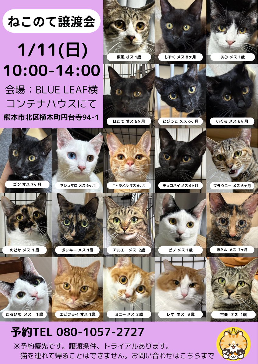 すみパン@1/11(日)譲渡会 (@aims2koz) / Highlights / X