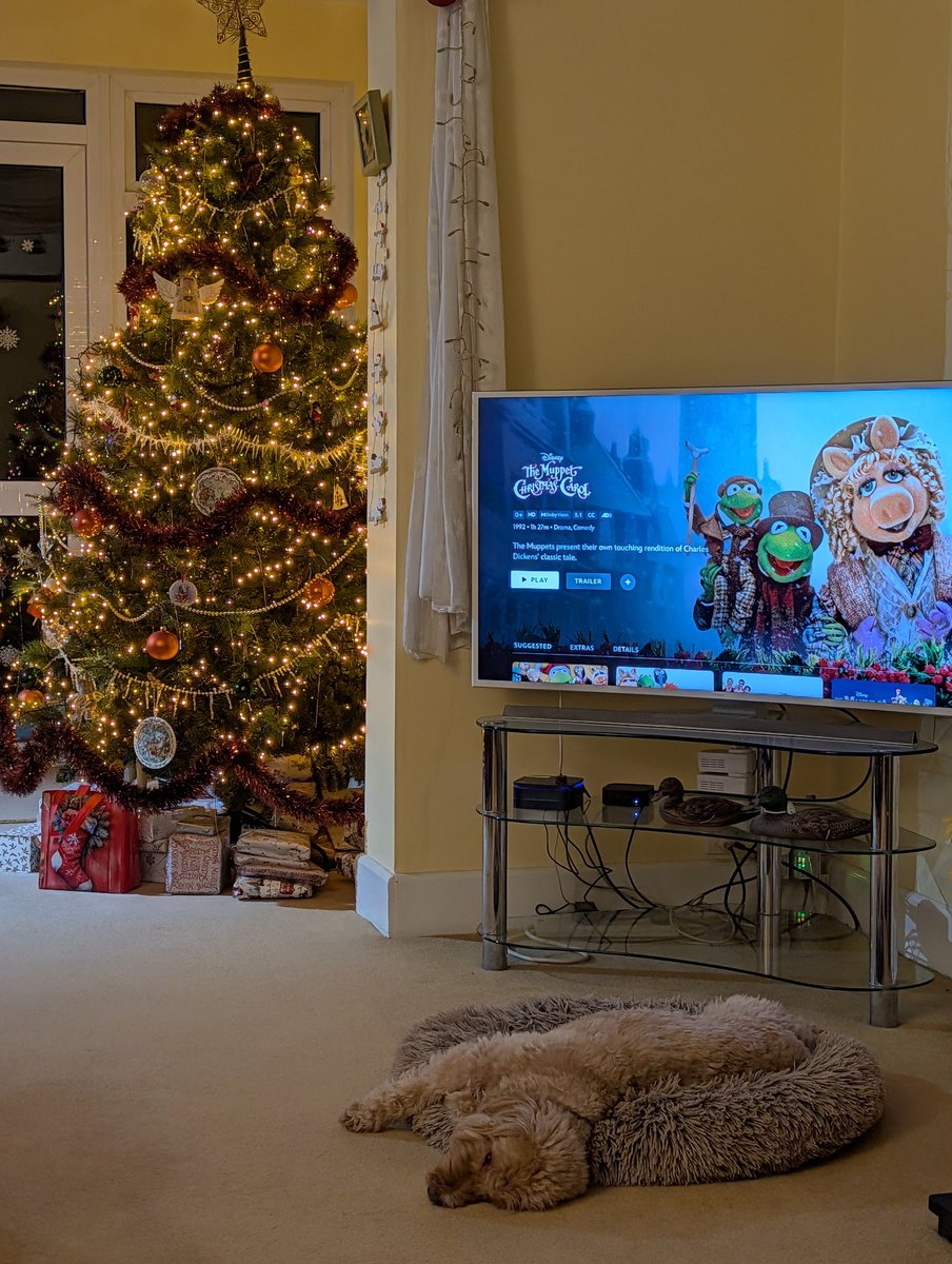 Nat | Neon tweet media