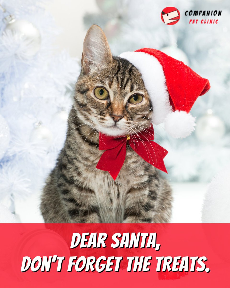 CompanionPetCL's tweet image. And only the best kind, too! 🍪

#CompanionPetClinicNorthPhoenix #HolidayTreats #PetHumor