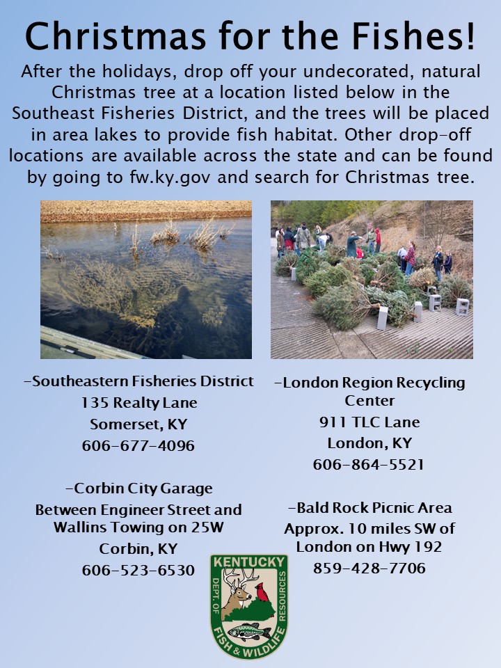Your Christmas tree can keep giving long after the holidays are over. Donate your real, undecorated tree at any of the drop off locations across the state and it will be used to create fish habitat in local water bodies.  For more information check out tinyurl.com/yeu2rpk3