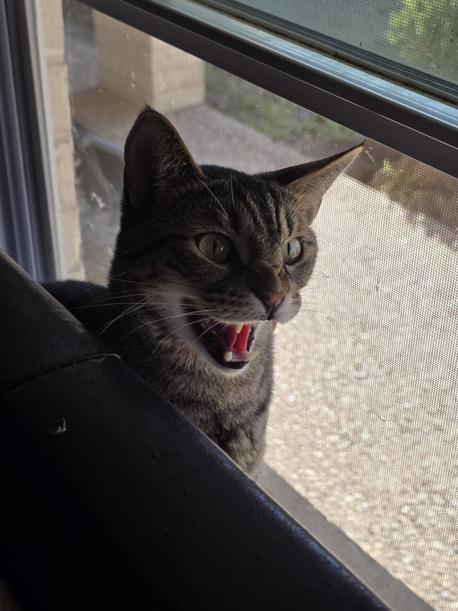 Wrath ... ❤️‍🔥 ⚖️ 🦉 tweet media