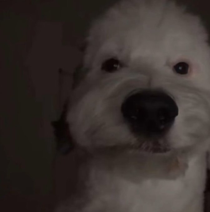 krabesky il a tellement de buzz en ce moment je vais devoir m'en occuper personnellement