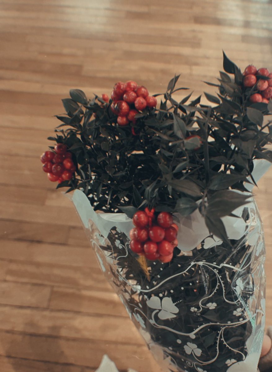 Toprak sahiplendikçe çiçek açacak tüm dalları 🙏🌏✨