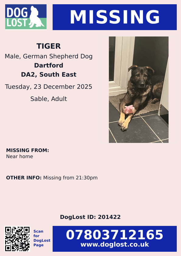 millypod1's tweet image. 🆘23 DEC 2025 #Lost Tiger #ScanMe
German Shepherd Dog Male
Near home #Dartford #Kent #DA2
doglost.co.uk/dog/201422