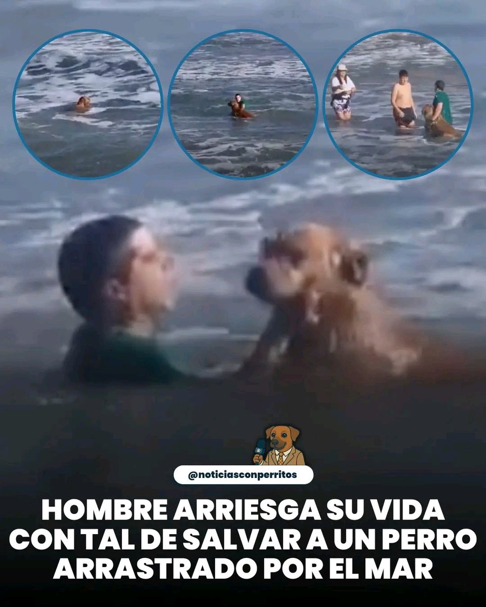 Memes sobre el café: Humor y Comedia en Español, image size:960x1200