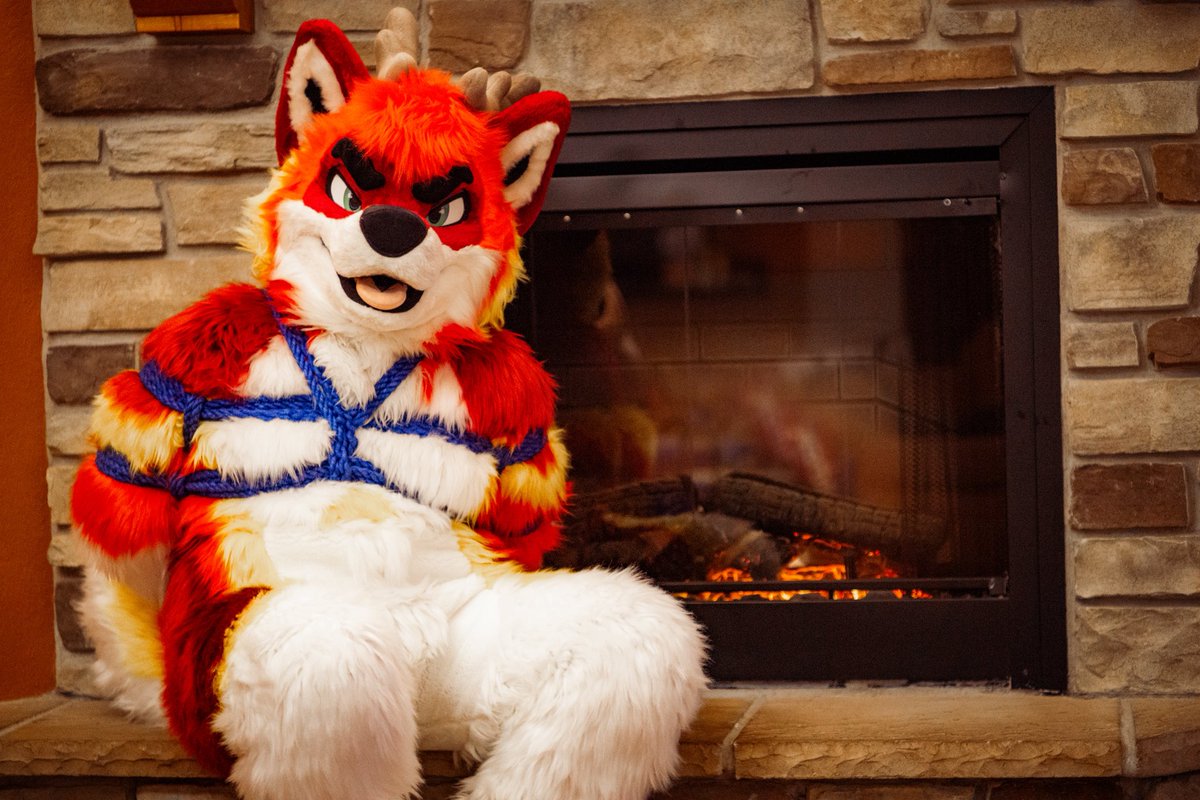 Tried to sneak on Santa sleigh but was caught and tied up for not being a full deer. Either way, Merry Christmas everyone 🎄

📷 <a href="/aqueerwolf/">Katav 🐺 g(r)ay wolf 🐏 bighorn(y) ram</a>