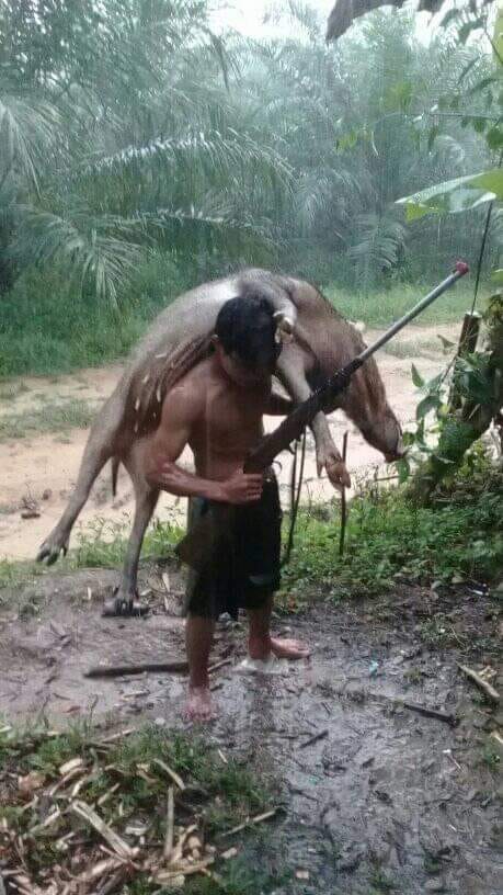 technotheoria's tweet image. A very happy holidays to all…celebrating the christian festival of lights (Christmas)! In photo a dayak hunter (austronesian-austroasiatic). 

They make their own illegal firearms to kill boars.