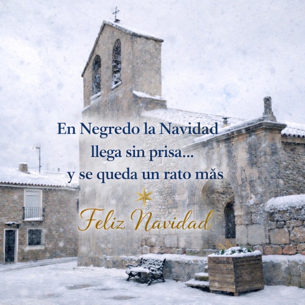 Feliz Nochebuena y feliz Navidad!! 
#negredo #guada #Navidad2025