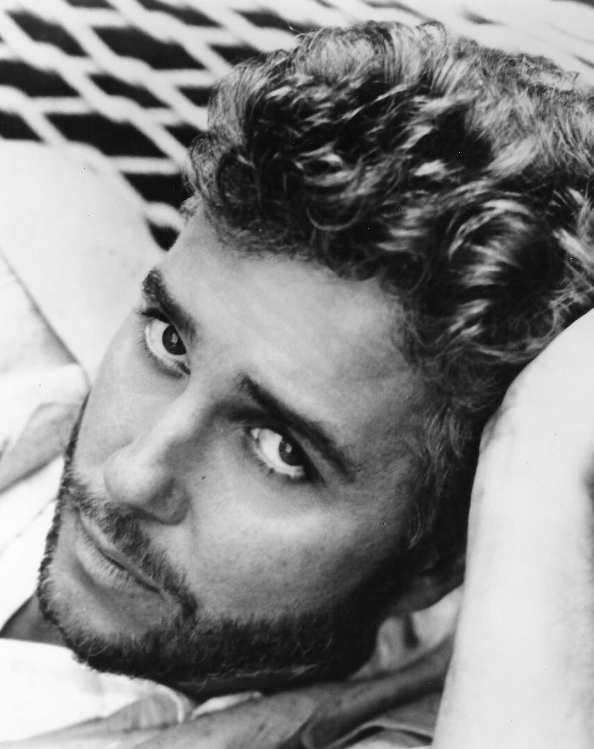 billypetersen.com tweet media