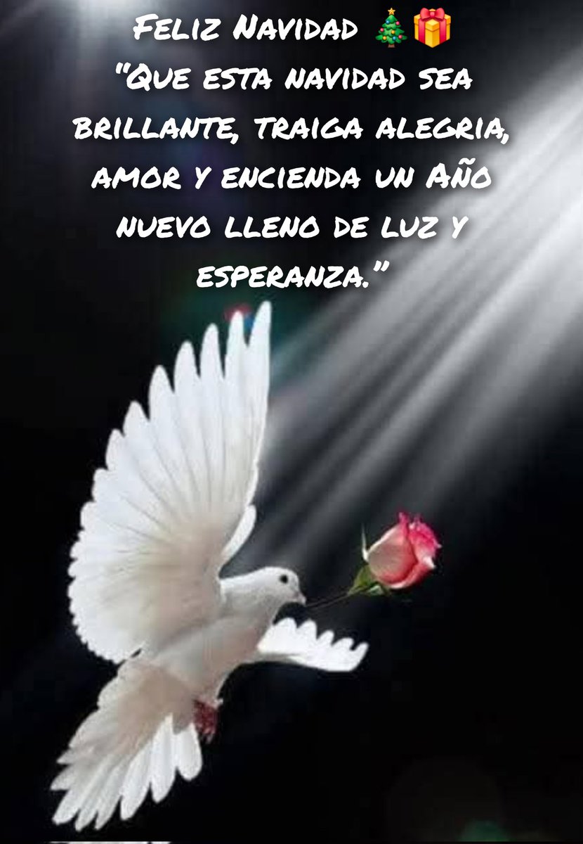 VChappores's tweet photo. Feliz Navidad 🎄🎁
“Que esta navidad sea brillante, traiga alegria, amor y encienda un Año nuevo lleno de luz y esperanza.” https://t.co/XaN0S3qrQh