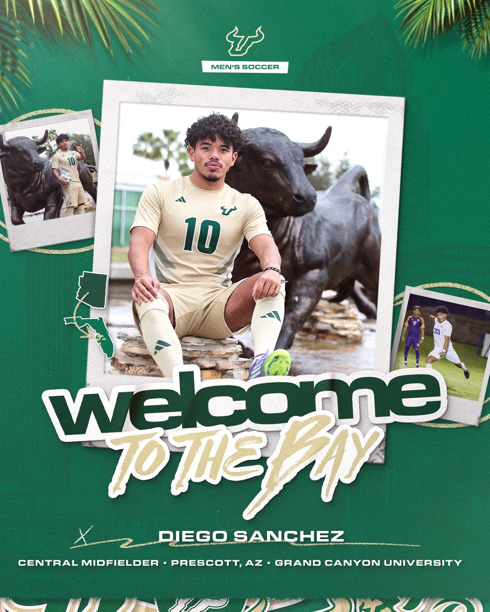 USF Men's Soccer tweet media