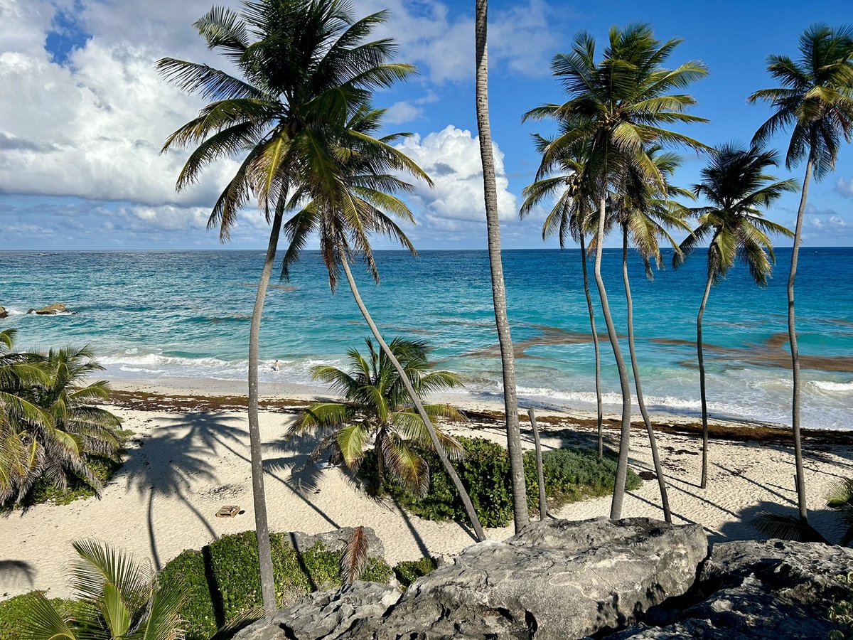 BlindTasters's tweet image. Bottom Bay, my favourite—plus the waves are swimmable today! #Barbados
