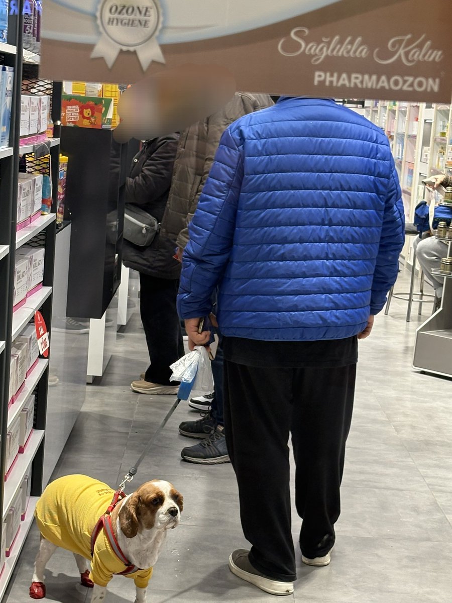 İstanbul, Esenyurt!

Eczanede köpeğin ne işi var?!