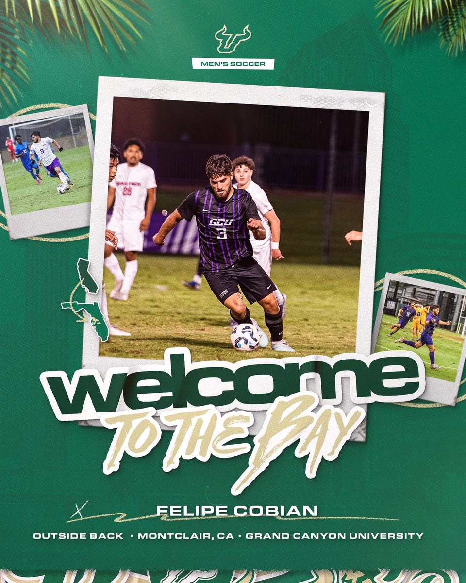 USF Men's Soccer tweet media