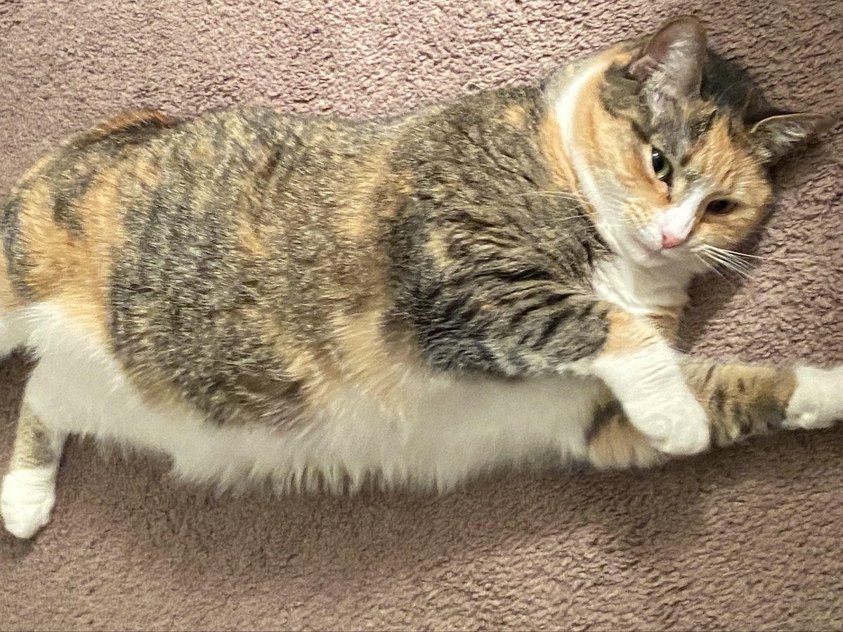 i am pretzel hear me SCREAM