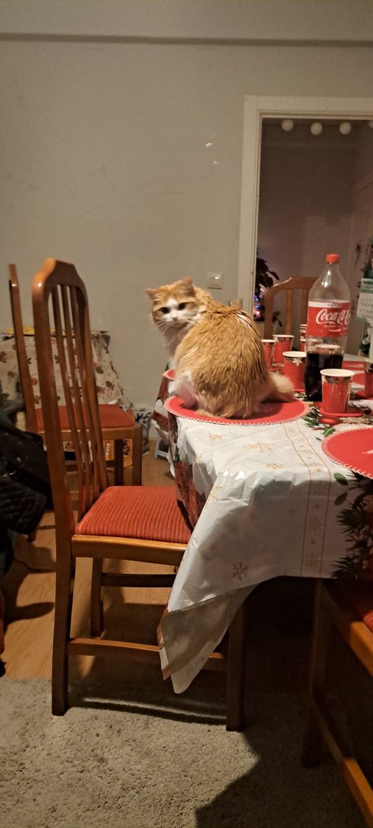 The New Roña Fett🔻🇪🇦(MANCHEGO-SOVIÉTICO) tweet media