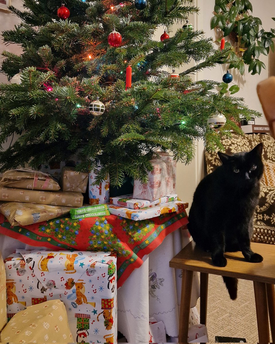 bamel02's tweet photo. @Number10cat Merry Christmas Larry. Teo https://t.co/BJUqYrJRt3