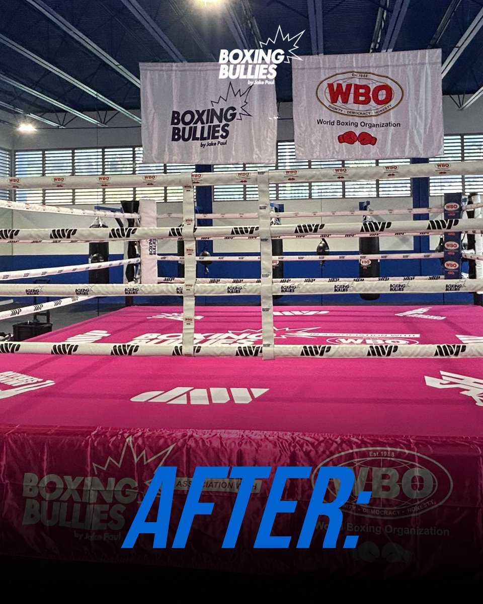 Boxing Bullies tweet media