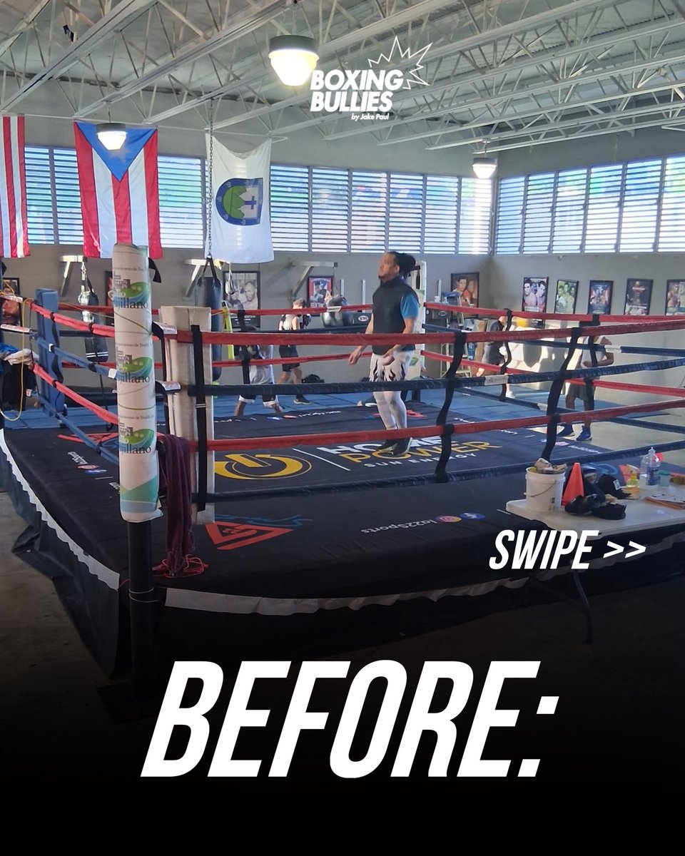 Boxing Bullies tweet media