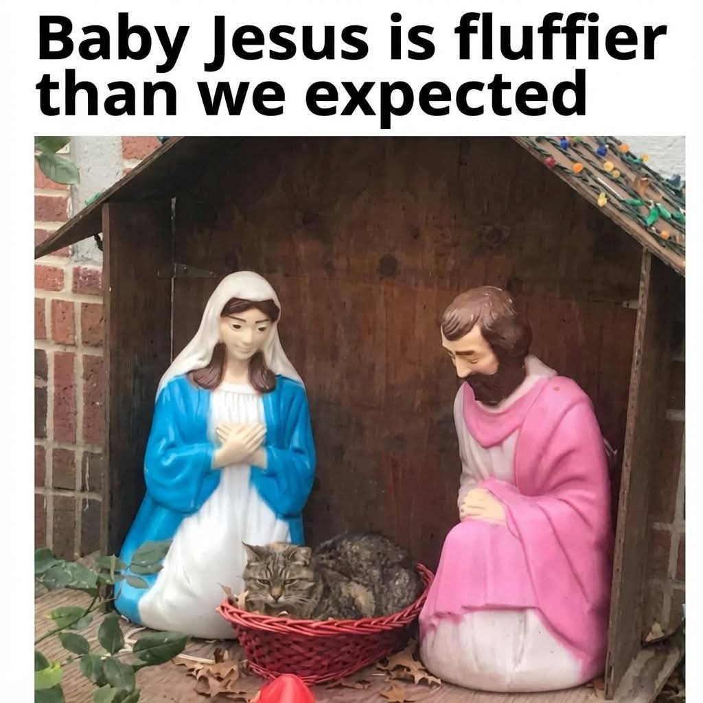 Merry Christmas from our home to yours. I hope this Christmas is filled with love and blessings for everyone and even if it's going to be a tough one I hope you find a little sparkle of light in the darkness. 🎄🕯️♥️